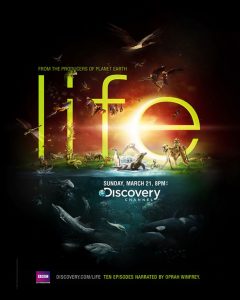 Discovery Channel Life Advertisement