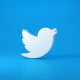 Twitter's logo evolution, colors, and changes under Elon Musk in a brief journey through its visual identity.
