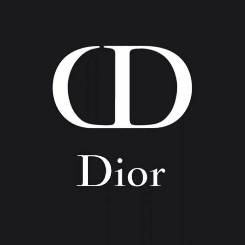 The History and Development of Dior's Logo Design - animationvisarts